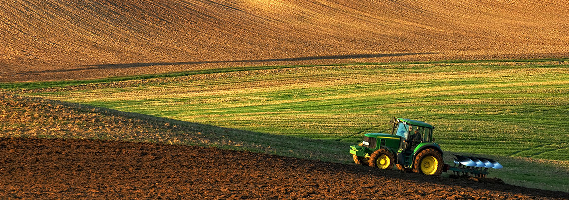 Foto: Svend77 /Shutterstock.com