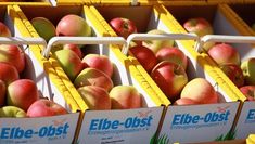 Beratung für Erzeugergemeinschaften