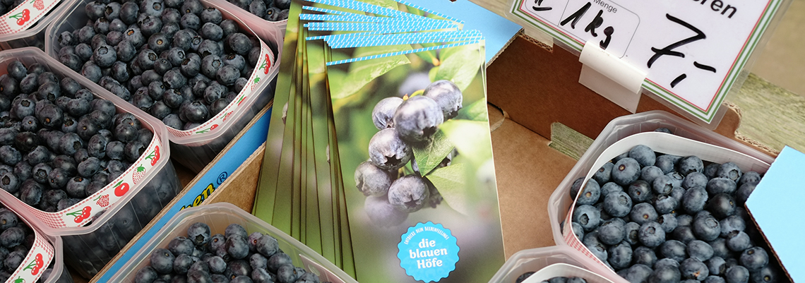 Flyer "Die blauen Höfe"