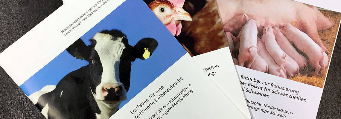 Broschüren Titelseiten