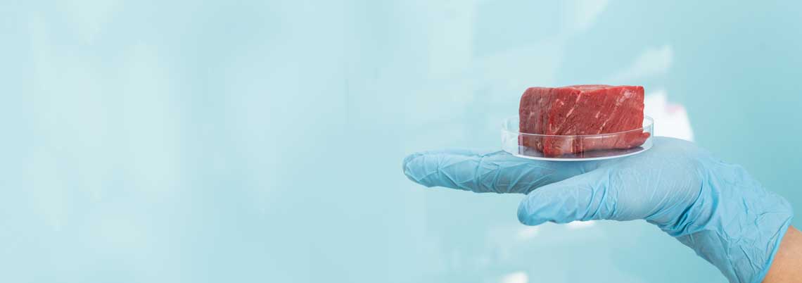 Symbolbild cultured Meat Adobe Stock 468584982 Hand mit Laborhandschuh zeigt Fleisch